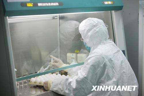 6月8日，科研人員在進行毒株種子批的制備工作。新華社記者 邢廣利 攝