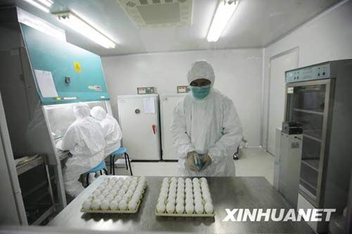 6月8日，科研人員在進行毒株種子批的制備工作。新華社記者 邢廣利 攝