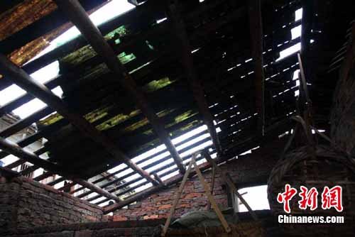 江西贛南遭遇8級大風襲擊 4米高大樹被連根拔起