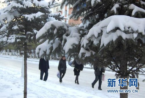 哈爾濱、大慶降下今年入冬以來第一場雪
