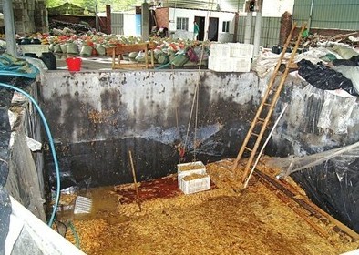 數十平方米的大池子，黑心商家用工業檸檬酸泡出35噸金針菇