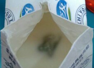 酸奶盒裝內發現疑似的“發霉”物體