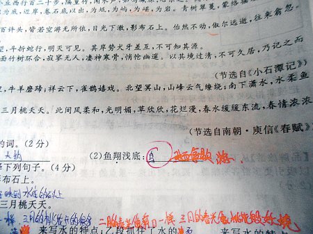 這是6月18日，網友“啃梨掉顆牙”發在網上的試卷照片。