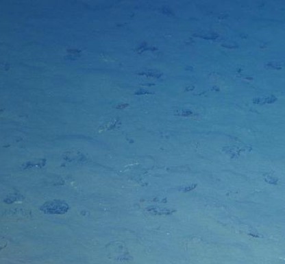 蛟龍號潛海獲生物樣品 發現暫時難解釋現象