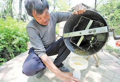 櫸林山現割現搖蜂蜜大都為假 純靠化學添加