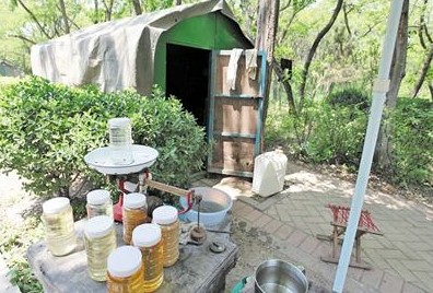 櫸林山現割現搖蜂蜜大都為假 純靠化學添加