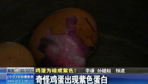 煮雞蛋驚現紫色蛋白 奇異漲大令人作嘔