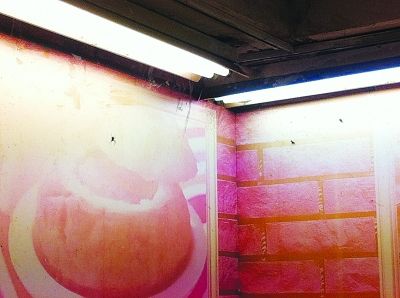 愛衛辦檢查除四害 飯店廚師稱鼠糞為黑玄米