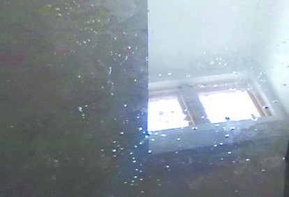 偉東二期房子漏水墻體發霉 維修一拖再拖