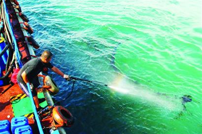 小青島近?，F千米油污帶 夾帶漂浮垃圾來源不詳