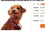 網售神奇翻譯器稱翻譯狗叫 掛狗脖子講出人聲