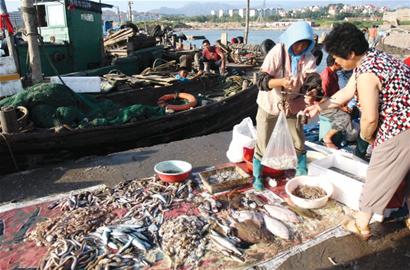 開海首日海鮮價格不高