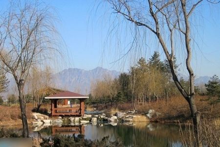 陳坤美式豪宅內景曝光 兒子生母身份再引猜測