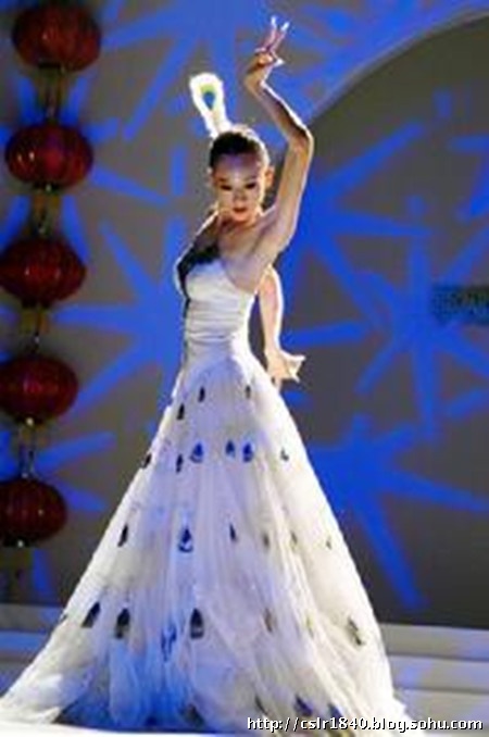 54歲楊麗萍終身不育內幕 老公劉淳晴出身商業世家