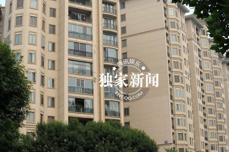 董卿低調裝扮素顏獨自回京 面色疲憊疑勞累過度