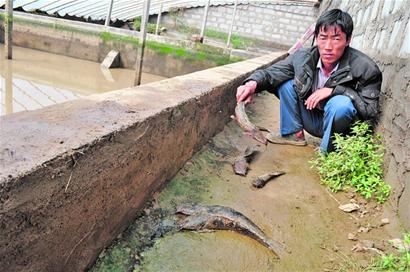 世紀豪雨沖走膠南1.1億 即墨平度渴壞