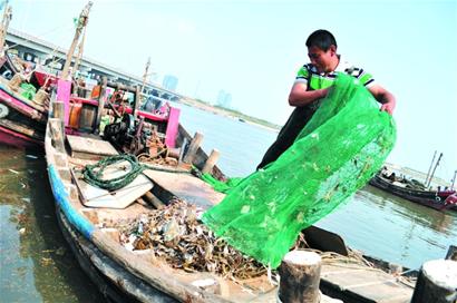 膠南漁民出海一網撈百斤螃蟹 凈賺1500元