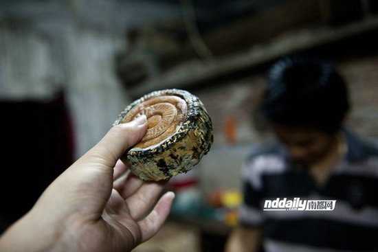 月餅黑作坊環境觸目驚心:油桶漂死老鼠蛋黃發霉