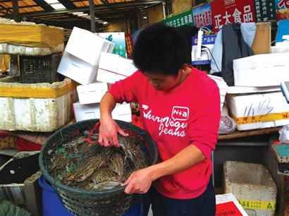 螃蟹流行中秋漲 一天內貴了15元