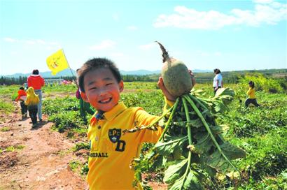 40萬游客涌進青島6大景區 今明回落