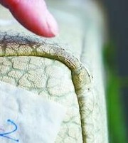 吉斯真皮沙發(fā)變身人造革 商家否認宣傳過真皮