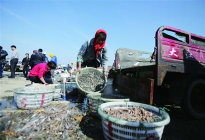 薛家島僅存老漁村將變南島旅游小鎮