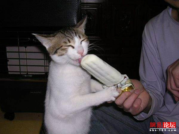 能笑一整天的趣圖