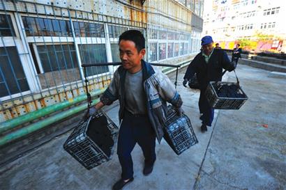 現代賣炭翁:挑百斤煤一口氣爬5樓 青島不到50人 現代賣炭翁:挑百斤煤一口氣爬5樓 青島不到50人