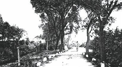 中山公園歷史追至明代 550歲會(huì)前村成新景點(diǎn) 中山公園歷史追至明代 550歲會(huì)前村成新景點(diǎn)