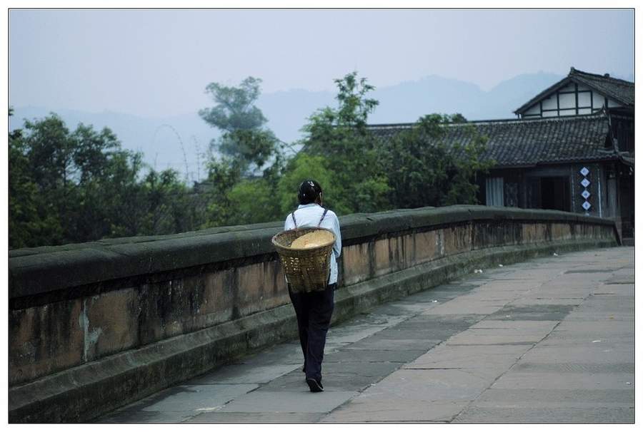 不孝的禽獸兒女 你們怎如此狠心