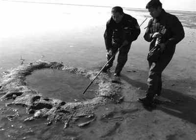 絕美東方白鸛慘死變盤中餐 職業殺手一路投毒