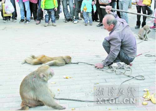 　　耍猴人當(dāng)街暴打猴子，引起圍觀市民的反感。(豎戈攝)