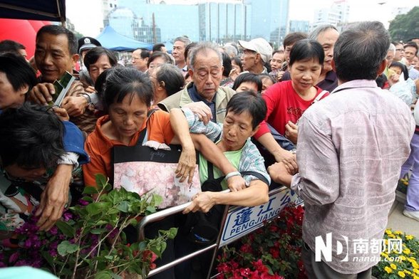 江門免費派花 民眾推倒圍欄哄搶