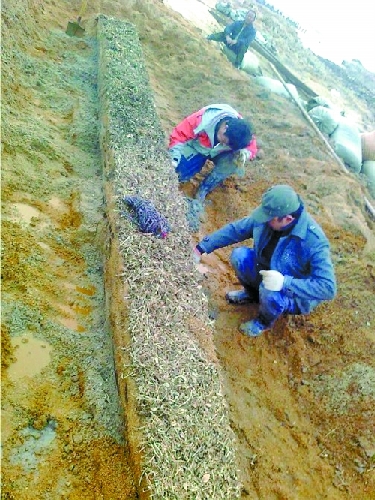 發掘現場