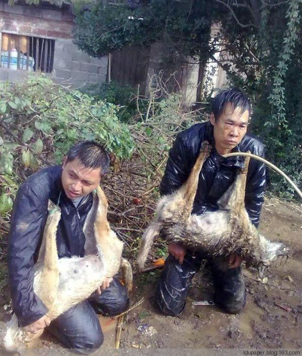 在農村偷狗被抓到就是這下場！