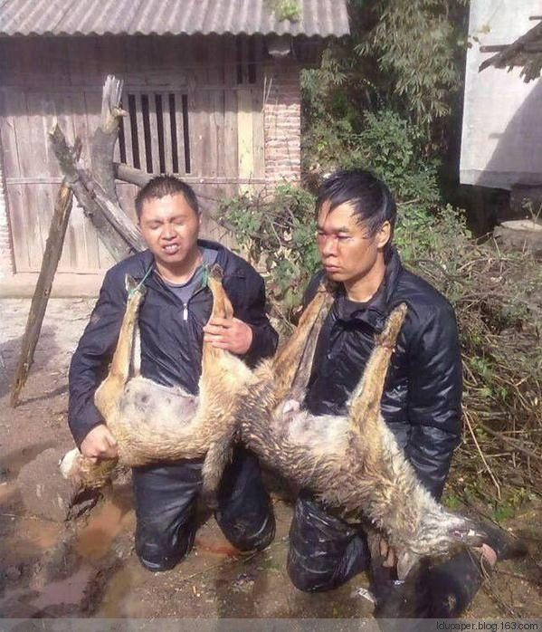 在農村偷狗被抓到就是這下場！