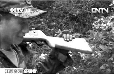記者在資溪縣一林場(chǎng)看到三名盜獵者。央視截屏