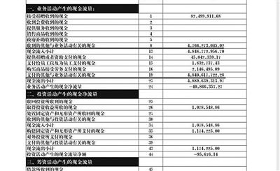 舉報人周筱赟貼出的中華兒慈會2011年財務報表，并標出可疑項目。網絡截圖
