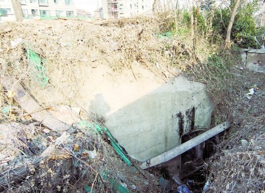 青島炮臺600年 揭秘德占時期火力網部署