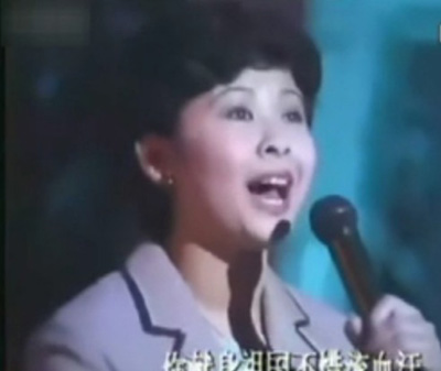 董文華神秘老公揭秘