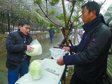 市人大代表、政協委員關注“菜事”建議拓寬銷售渠道