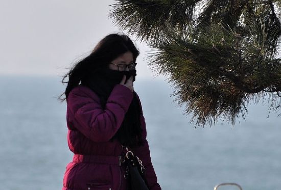 前海一線海水結冰 極寒天難擋冬游健將