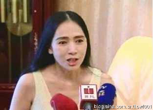 疑似玩婚外戀導致婚姻破裂的10大女星