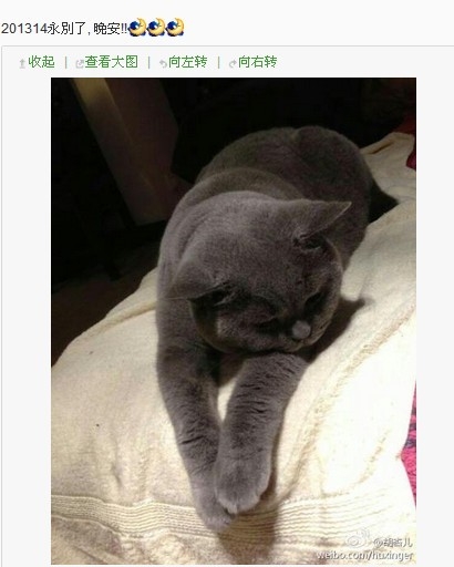 黃宗澤攜新歡游上海被拍 胡杏兒感慨：永別了！