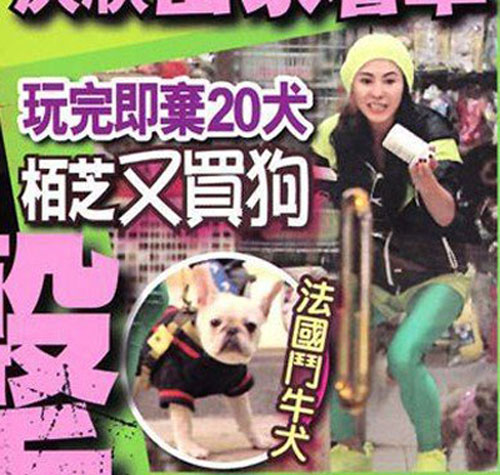 明星與親人關系揭秘