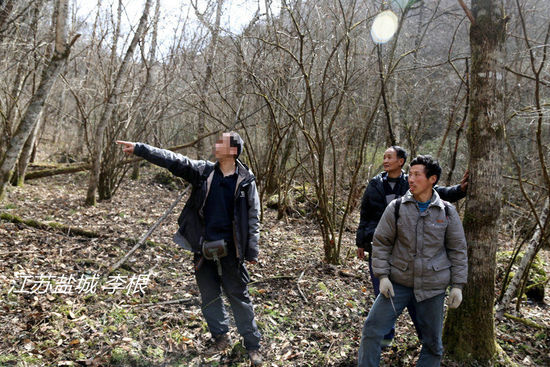 2013年3月4日，陜西省安康市鎮(zhèn)坪縣，隨周正龍上山人員研究尋虎方案。李根/CFP