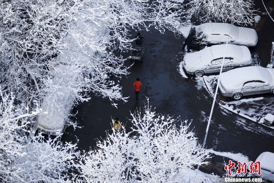 2013年3月20日早晨，降雪后的北京，全城銀裝素裹