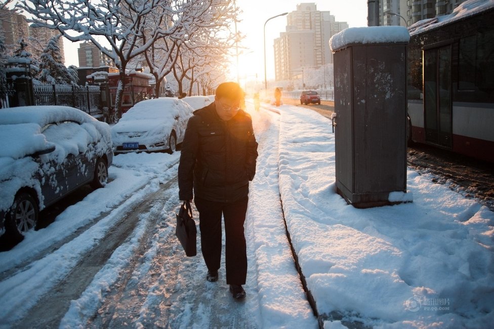 2013年3月20日早晨，降雪后的北京，全城銀裝素裹