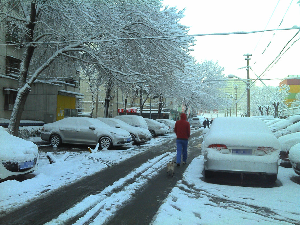 2013年3月20日早晨，降雪后的北京，全城銀裝素裹