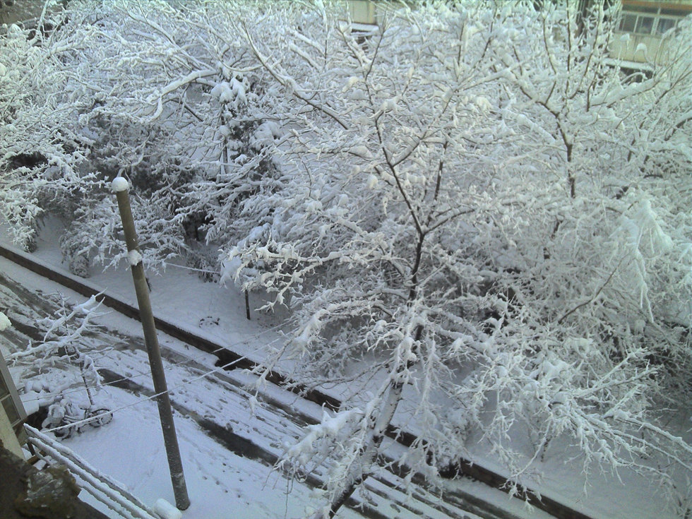 2013年3月20日早晨，降雪后的北京，全城銀裝素裹